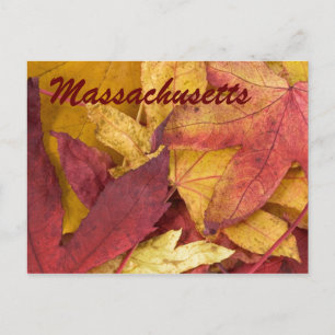 Massachusetts Autumn Leaves Postcard