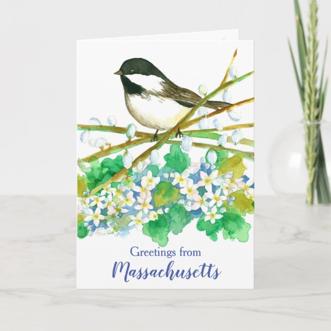 Massachusetts Chickadee Bird State Greeting Card (Front)