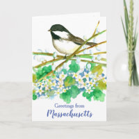 Massachusetts Chickadee Bird State Greeting