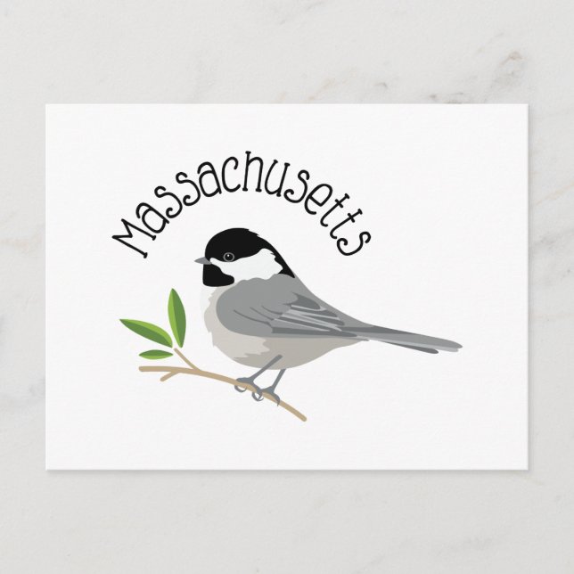 Massachusetts Chickadee Postcard (Front)