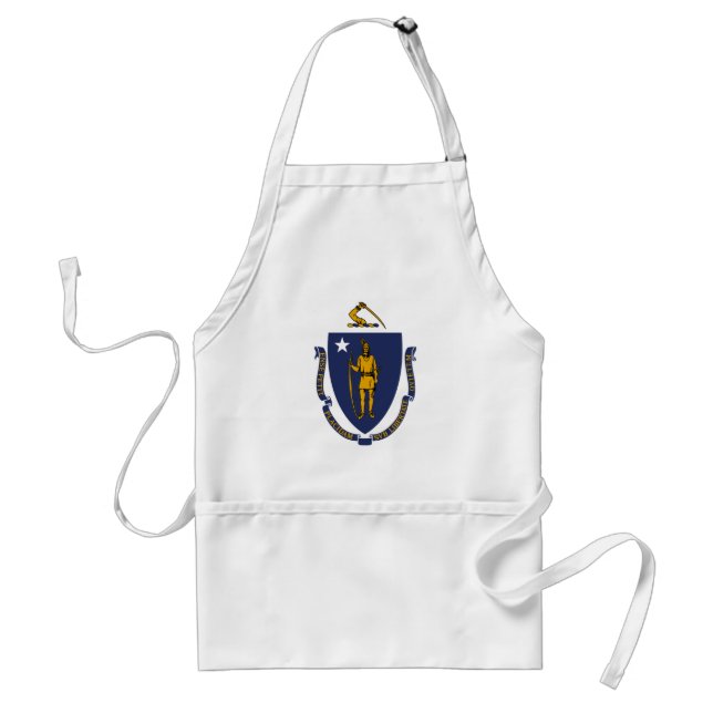 Massachusetts flag standard apron (Front)