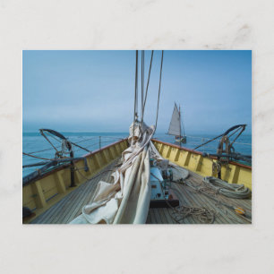 Massachusetts, Gloucester, Schooner Festival 3 Postcard