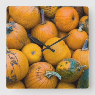 Massachusetts, Salisbury, pumpkins, autumn Square Wall Clock