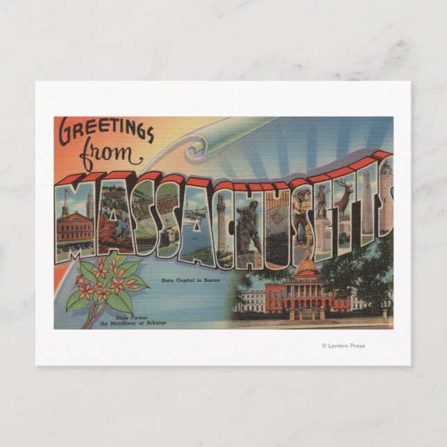 Massachusetts (State Capital/Flower) Postcard (Front)