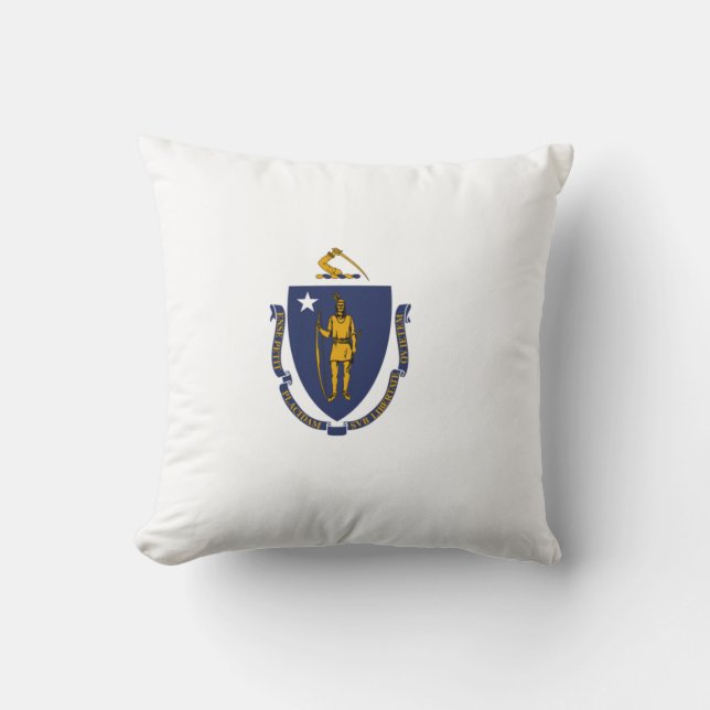 Massachusetts State Flag Cushion (Front)