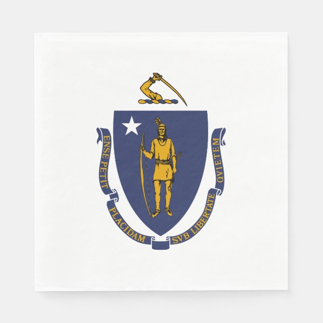 Massachusetts State Flag Napkin (Front)
