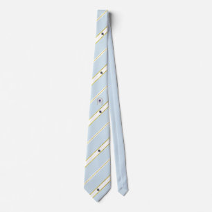 Massachusetts stripes flag tie