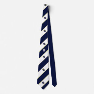 Massachusetts stripes flag tie