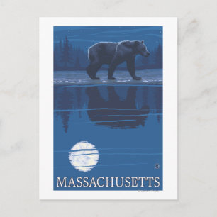 MassachusettsBear in the Moonlight Postcard