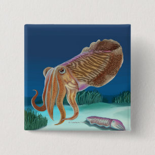 MassachusettsCuttlefish Scene 15 Cm Square Badge