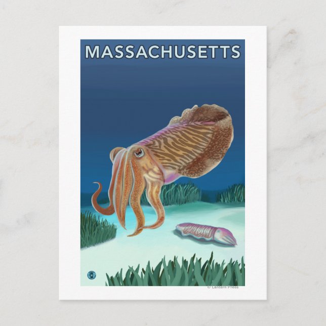 MassachusettsCuttlefish Scene Postcard (Front)