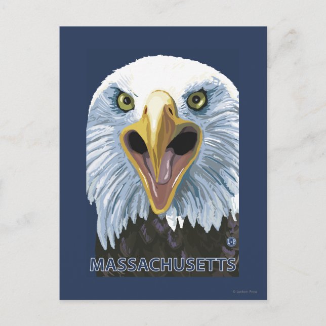 MassachusettsEagle Up Close Postcard (Front)