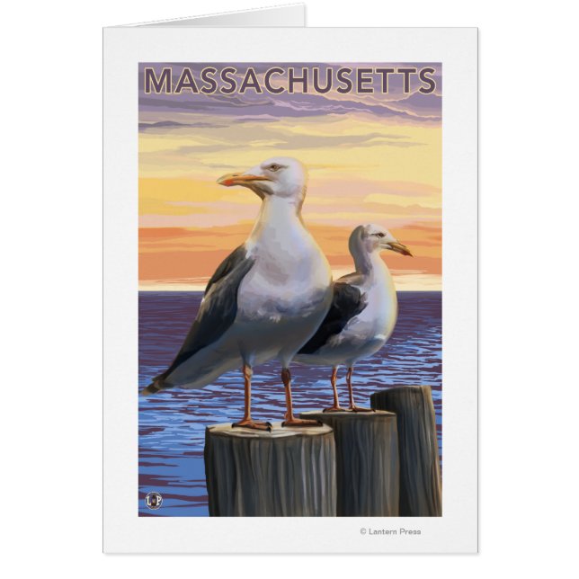 MassachusettsSea Gulls Scene (Front)