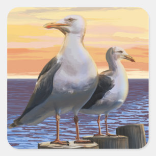 MassachusettsSea Gulls Scene Square Sticker