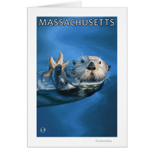 MassachusettsSea Otter Scene