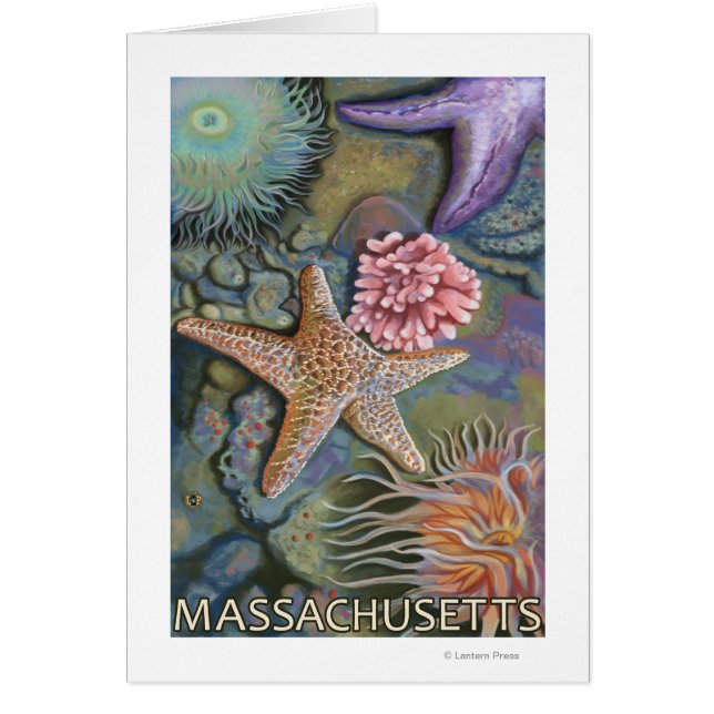 MassachusettsTidepool Scene (Front)