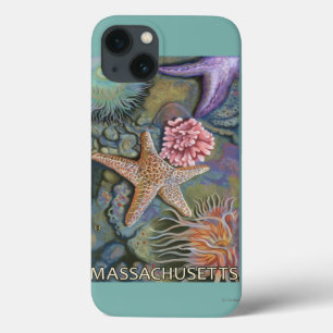 MassachusettsTidepool Scene iPhone 13 Case