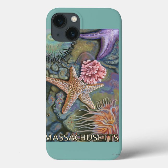 MassachusettsTidepool Scene Case-Mate iPhone Case (Back)