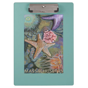 MassachusettsTidepool Scene Clipboard