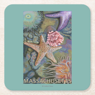 MassachusettsTidepool Scene Square Paper Coaster