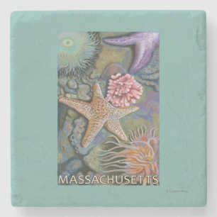 MassachusettsTidepool Scene Stone Coaster