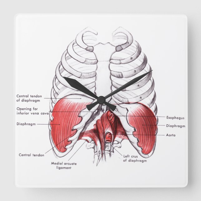 Massage Room Clocks (Front)