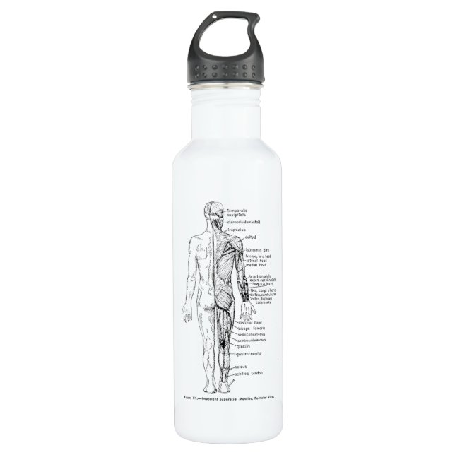 Massage, Yogi, and Reiki 710 Ml Water Bottle (Front)