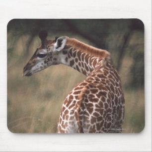 Massai Giraffe 2 Mouse Mat