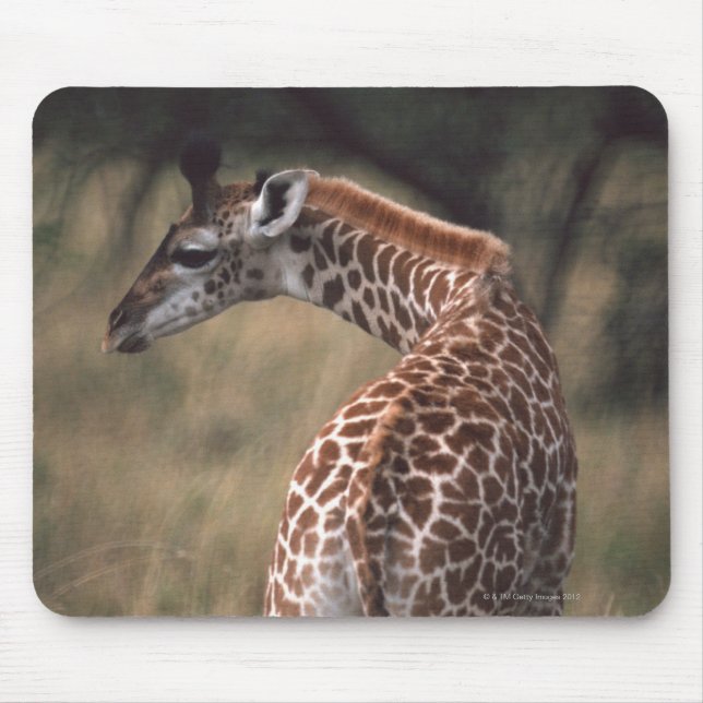 Massai Giraffe 2 Mouse Mat (Front)