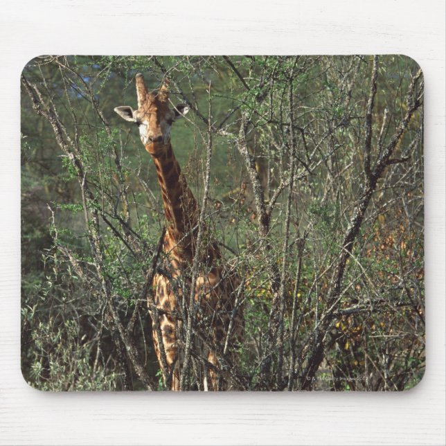 Massai Giraffe Mouse Mat (Front)