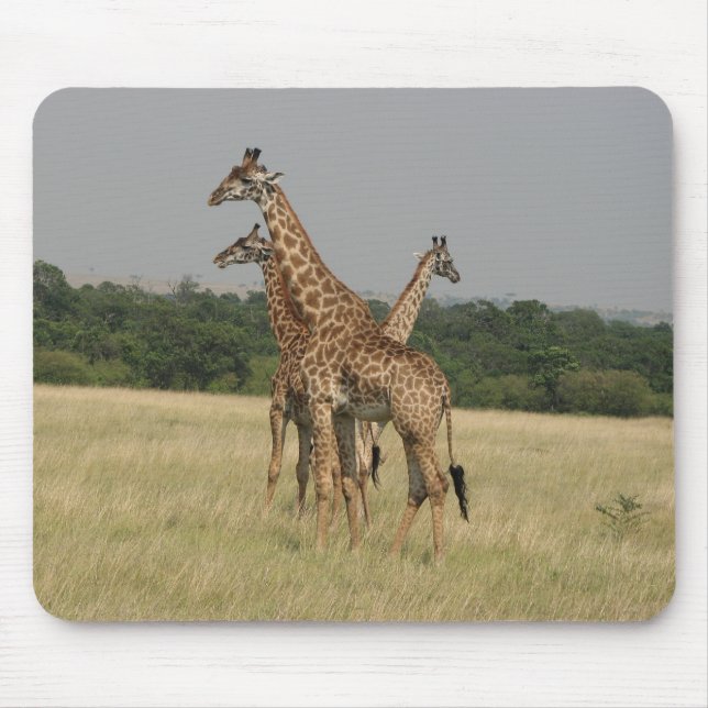 Massai Giraffes Mouse Mat (Front)