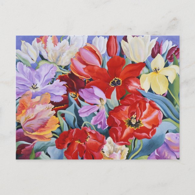 Massed Tulips 2003 Postcard (Front)