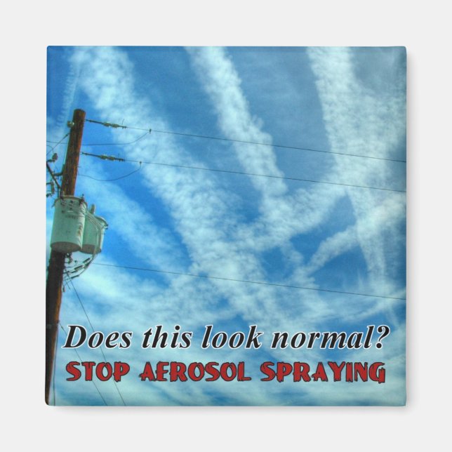 Massive Chemtrail Grid Magnet (Front)