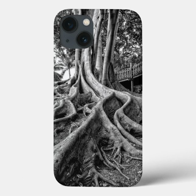 Massive rubber tree roots Case-Mate iPhone case (Back)