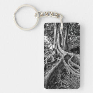 Massive rubber tree roots key ring