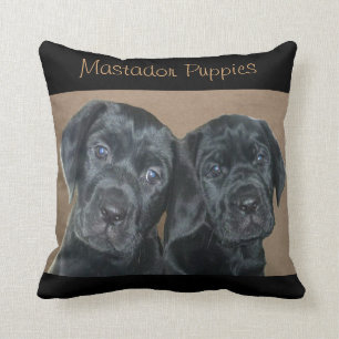 Mastador Puppies Pillow