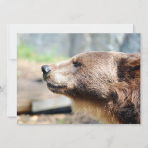 Master Bruin