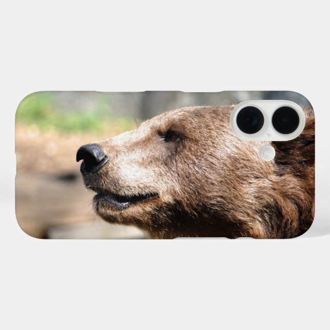 Master Bruin... Case-Mate iPhone Case (Back (Horizontal))