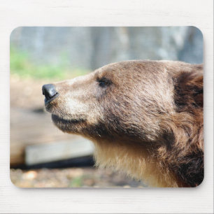 Master Bruin Mouse Mat