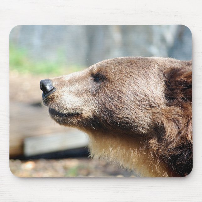 Master Bruin Mouse Mat (Front)