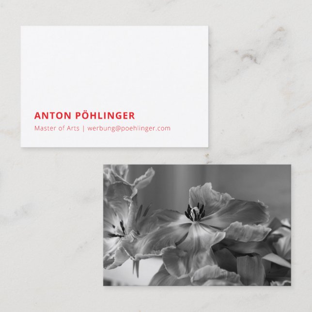 master minimal reduced business card (Front/Back)