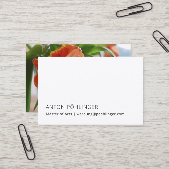 master minimal reduced business card (Front/Back In Situ)