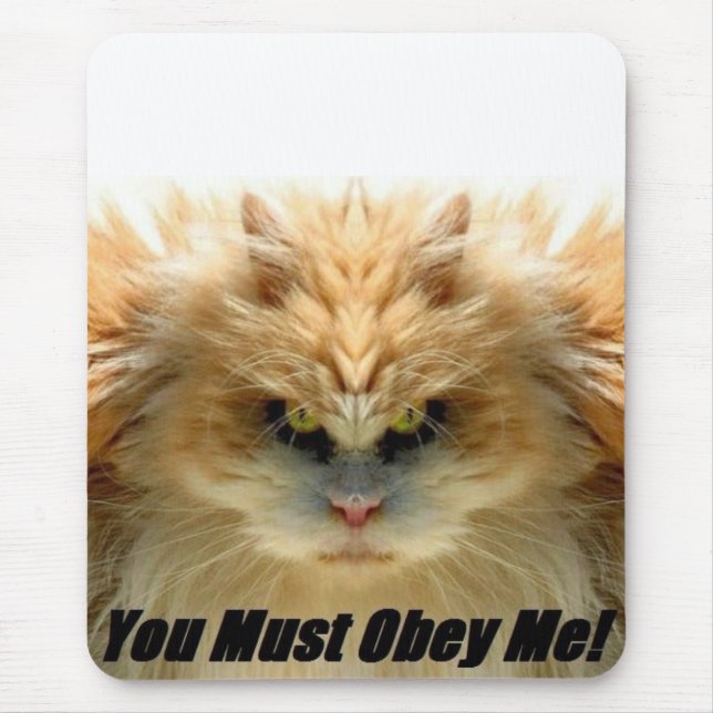 Master -Obayer! - Mousepad (Front)