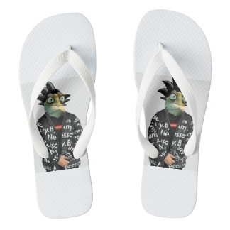Master Oogway-slippers Flip Flops