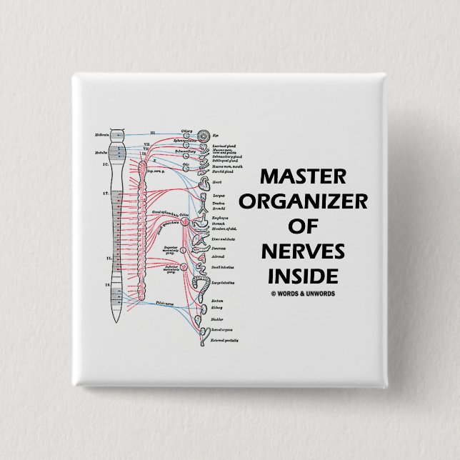 Master Organiser Of Nerves Inside (Autonomic) 15 Cm Square Badge (Front)