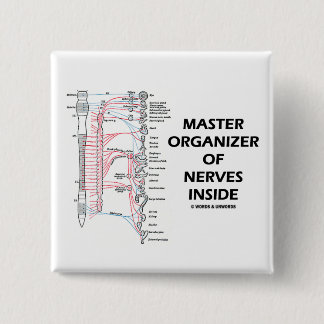 Master Organiser Of Nerves Inside (Autonomic) 15 Cm Square Badge
