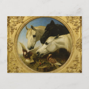 Masterpiece horse & dove painting John Herring Postcard