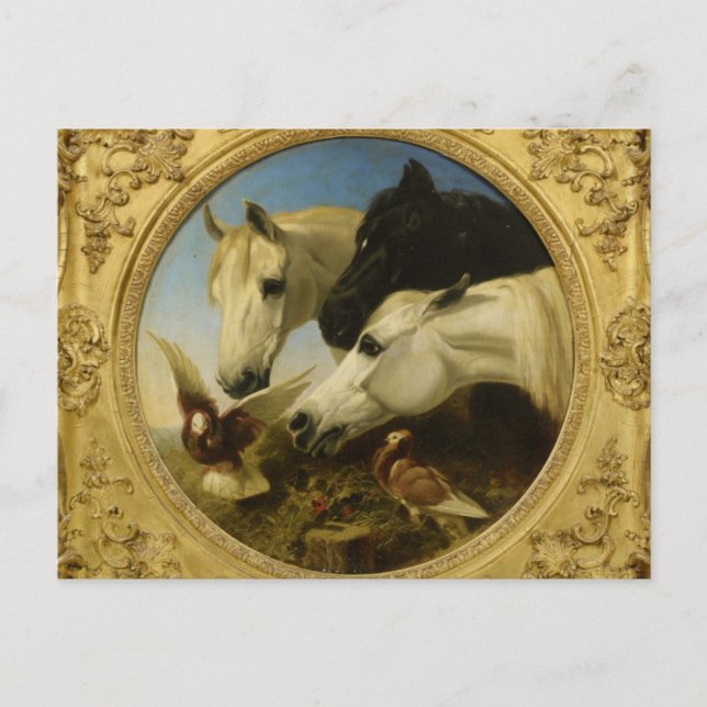 Masterpiece horse & dove painting John Herring Postcard (Front)