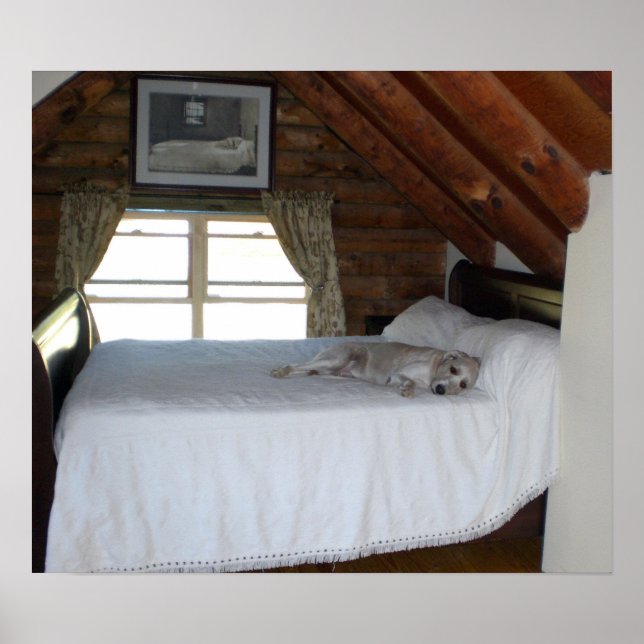 Master's Bedroom Poster (Front)