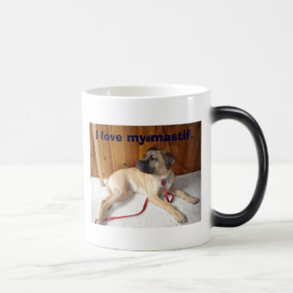 Mastif, I love my mastif. Magic Mug